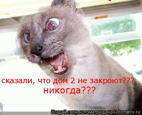 Котоматрица: сказали, что дом 2 не закроют???  никогда???