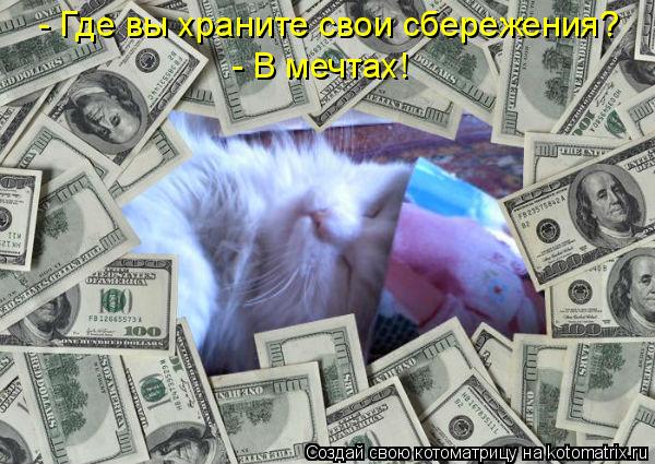 - Где вы храните свои сбережения? - В мечтах!... Котоматрица: - Где вы храните свои сбережения? - В мечтах!