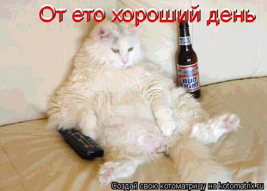 От ето хороший день От ето хороший день... Котоматрица: От ето хороший день От ето хороший день