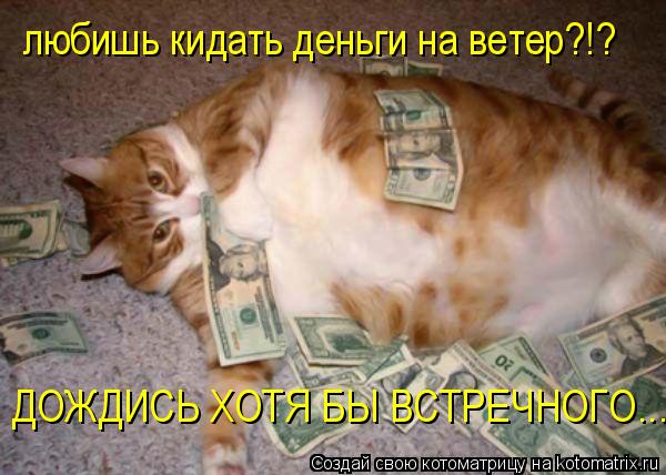 любишь кидать деньги на ветер?!? ДОЖДИСЬ ХОТЯ БЫ ВСТРЕЧНОГО...... Котоматрица: любишь кидать деньги на ветер?!? ДОЖДИСЬ ХОТЯ БЫ ВСТРЕЧНОГО...