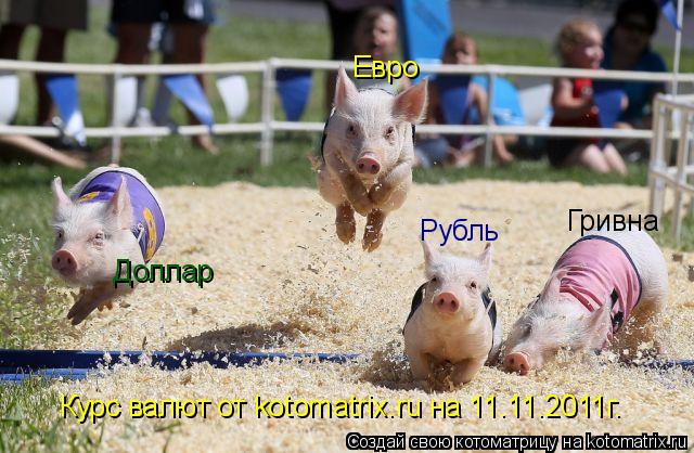 Гривна Доллар Евро Рубль Курс валют от kotomatrix.ru на 11.11.2011г.... Котоматрица: Гривна Доллар Евро Рубль Курс валют от kotomatrix.ru на 11.11.2011г.