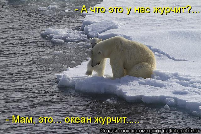 - А что это у нас журчит?... - Мам, это... океан журчит........ Котоматрица: - А что это у нас журчит?... - Мам, это... океан журчит.....
