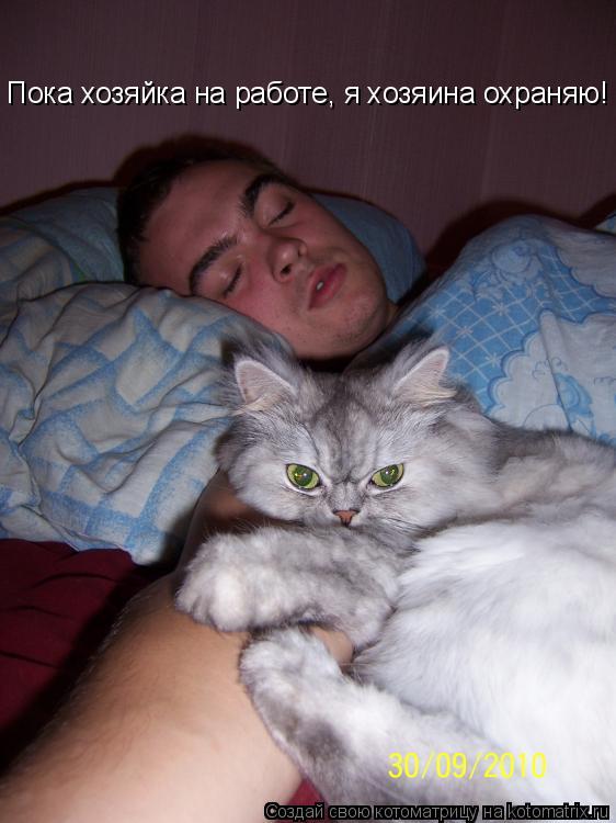 Пока хозяйка на работе, я хозяина охраняю!... Котоматрица: Пока хозяйка на работе, я хозяина охраняю!