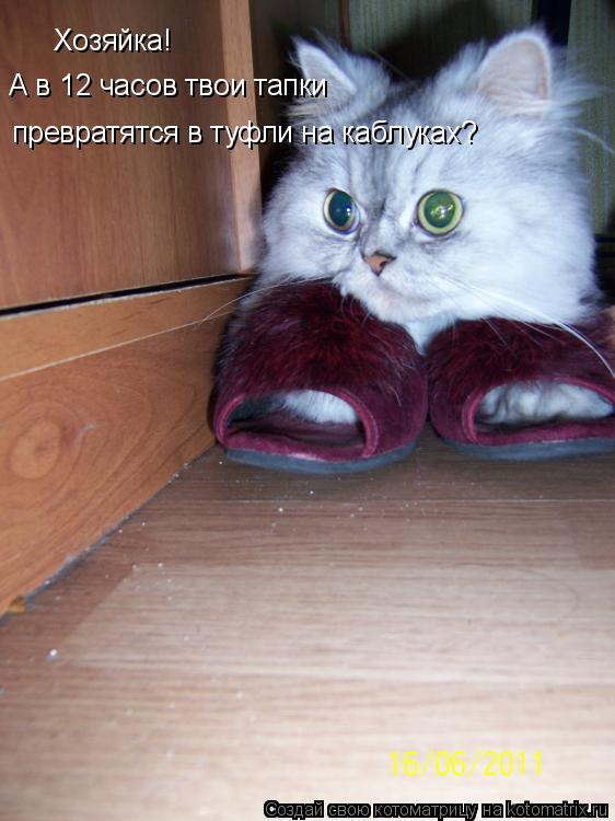 Хозяйка! А в 12 часов твои тапки превратятся в туфли на каблуках? Хозяйка! А в 12 часов твои тапки ... Котоматрица: Хозяйка! А в 12 часов твои тапки превратятся в туфли на каблуках? Хозяйка! А в 12 часов твои тапки превратятся в туфли на каблуках?