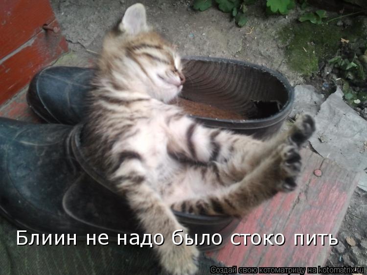 Котоматрица: Блиин не надо было стоко пить