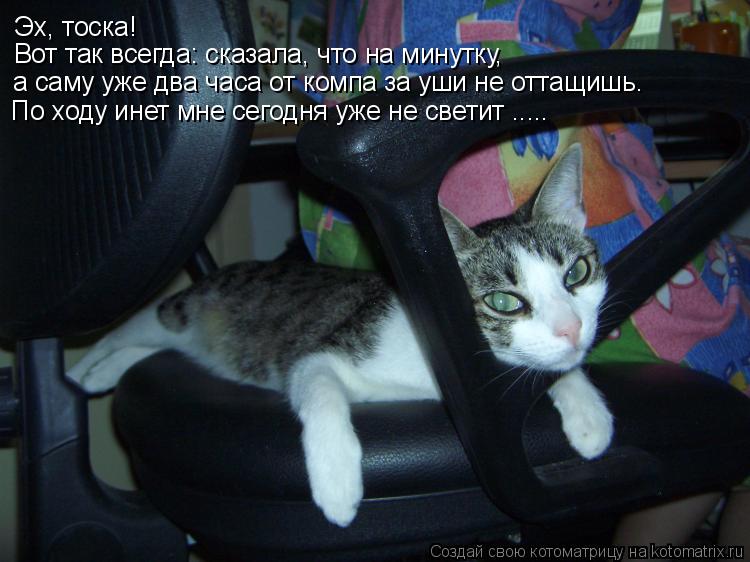 Котоматрица: Эх, тоска! Вот так всегда: сказала, что на минутку, а саму уже два часа от компа за уши не оттащишь. По ходу инет мне сегодня уже не светит .....