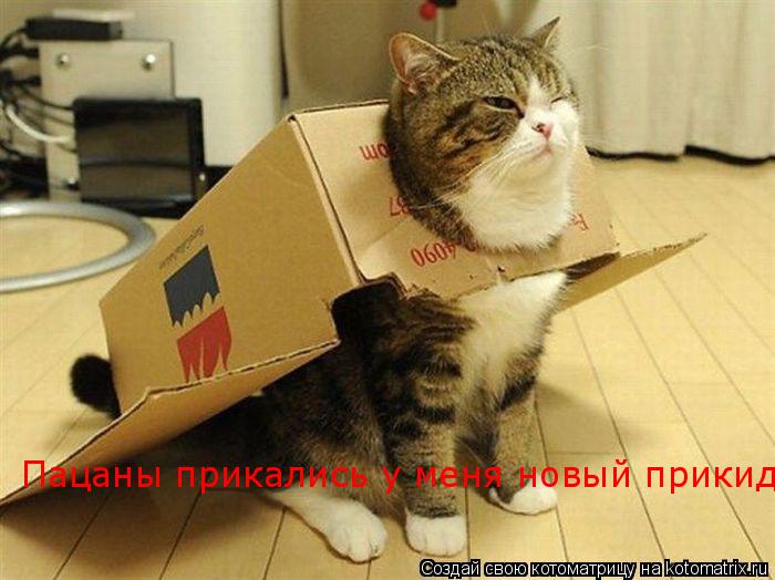 Котоматрица: Пацаны прикались у меня новый прикид