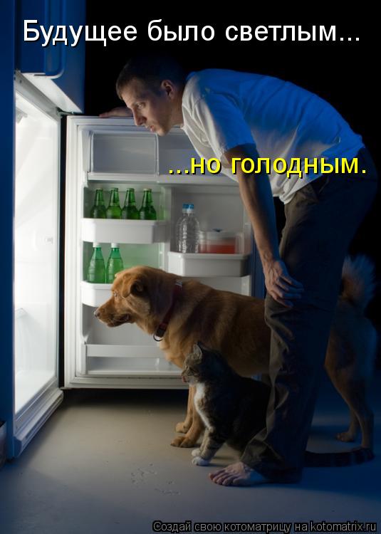 Будущее было светлым... ...но голодным.... Котоматрица: Будущее было светлым... ...но голодным.