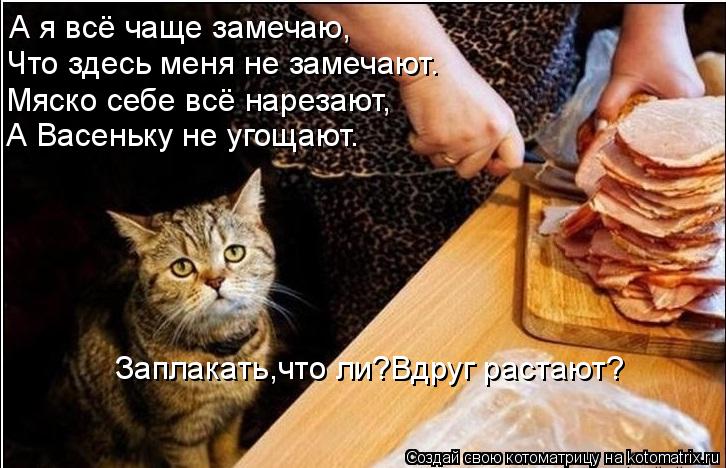 Котоматрица: А я всё чаще замечаю, Что здесь меня не замечают. Мяско себе всё нарезают, А Васеньку не угощают. Заплакать,что ли?Вдруг растают?