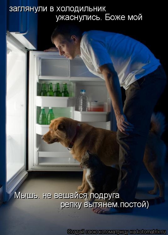 Котоматрица: заглянули в холодильник ужаснулись. Боже мой Мышь. не вешайся подруга репку вытянем.постой)