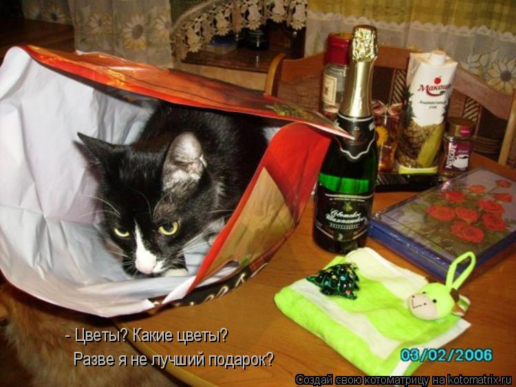 Котоматрица: - Цветы? Какие цветы? Разве я не лучший подарок?