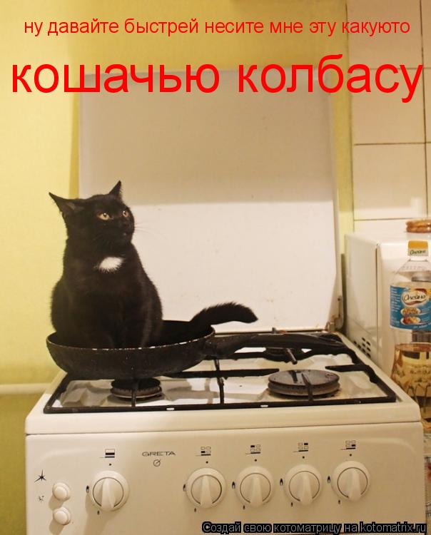 Котоматрица: ну давайте быстрей несите мне эту какуюто  кошачью колбасу
