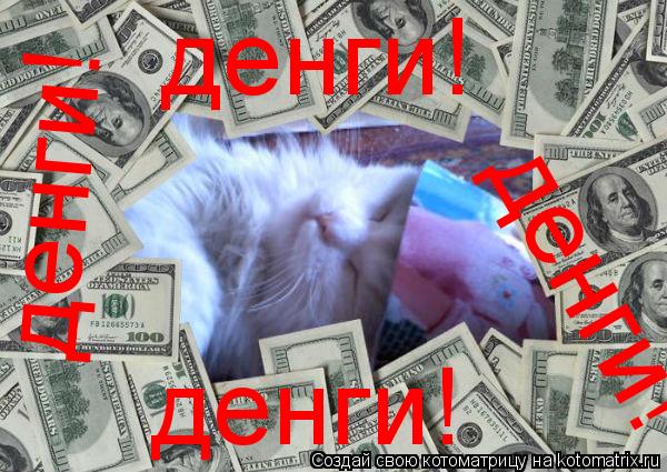 Котоматрица: денги! денги! денги! денги!