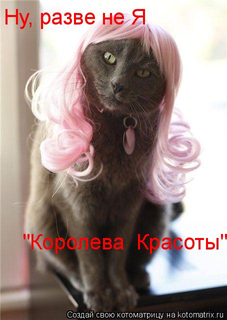 Котоматрица: Ну, разве не Я Ну, разве не Я "Королева  Красоты"