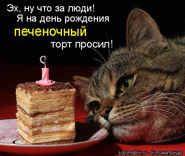 Котоматрица: Эх, ну что за люди! Я на день рождения печеночный торт просил!