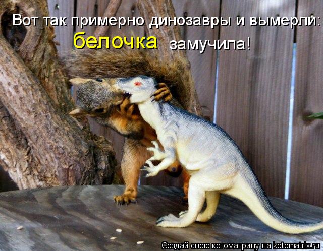 Котоматрица: Вот так примерно динозавры и вымерли: белочка замучила!
