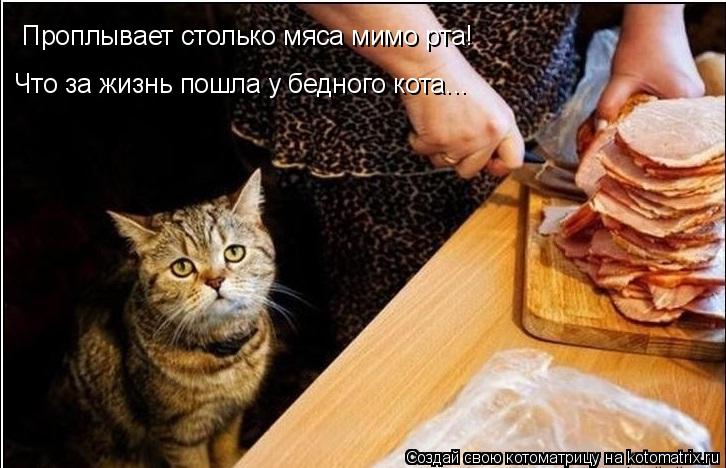 Котоматрица: Проплывает столько мяса мимо рта! Что за жизнь пошла у бедного кота...