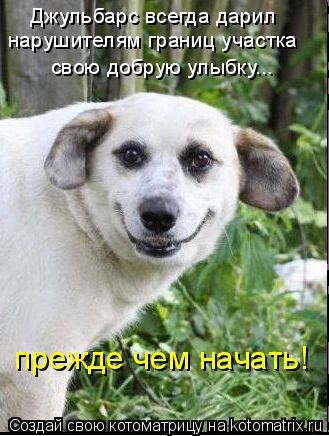 Котоматрица: нарушителям границ участка Джульбарс всегда дарил свою добрую улыбку... прежде чем начать!