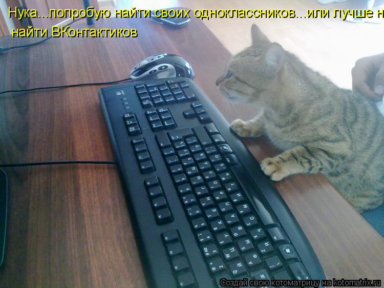 Котоматрица: Нука...попробую найти своих одноклассников...или лучше найти ВКонтактиков найти ВКонтактиков