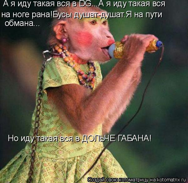 Котоматрица: А я иду такая вся в DG...А я иду такая вся  на ноге рана!Бусы душат-душат.Я на пути обмана... Но иду такая вся в ДОЛЬЧЕ ГАБАНА!