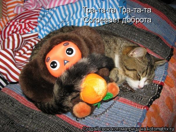 Котоматрица: Тра-та-та Тра-та-та Согревает доброта