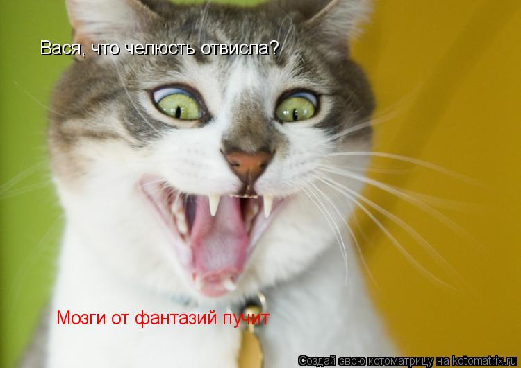 Котоматрица: Вася, что челюсть отвисла? Мозги от фантазий пучит
