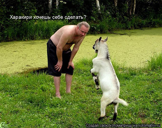 Котоматрица: Харакири хочешь себе сделать?