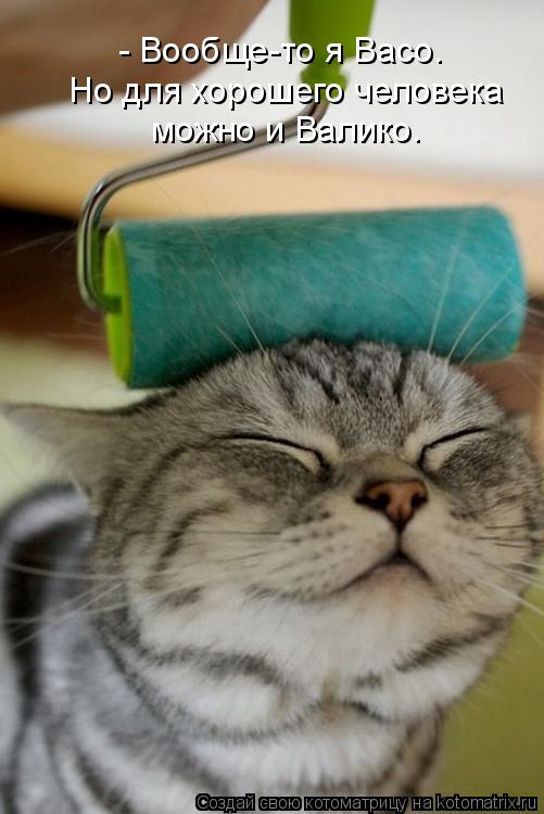 Котоматрица: - Вообще-то я Васо. можно и Валико. Но для хорошего человека