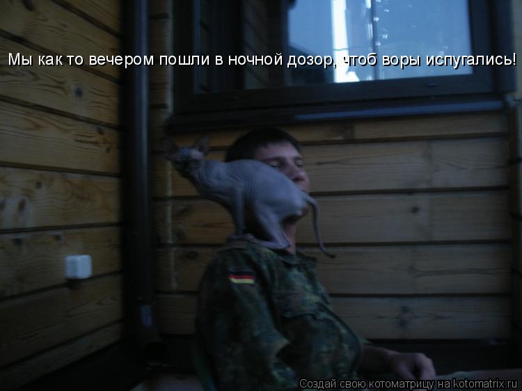 Котоматрица: Мы как то вечером пошли в ночной дозор, чтоб воры испугались!