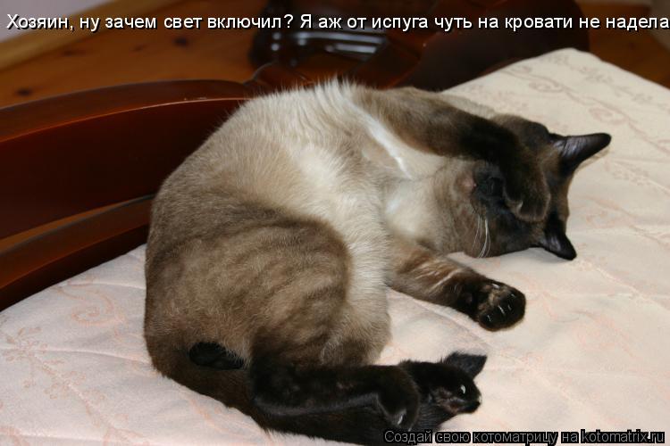 Котоматрица: Хозяин, ну зачем свет включил? Я аж от испуга чуть на кровати не наделал!