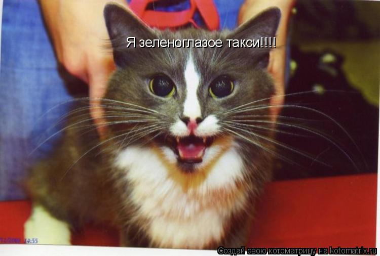Котоматрица: Я зеленоглазое такси!!!!