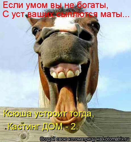 Котоматрица: Если умом вы не богаты, С уст ваших сыплются маты... Ксюша устроит тогда, Кастинг ДОМ - 2.