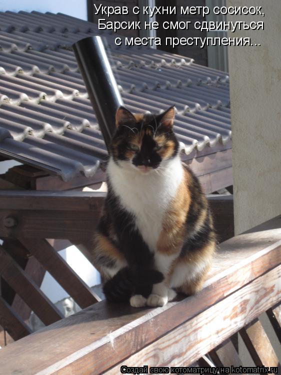 Котоматрица: Украв с кухни метр сосисок,  Барсик не смог сдвинуться с места преступления...