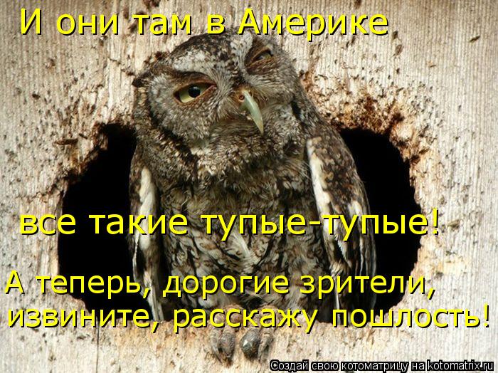Котоматрица: И они там в Америке все такие тупые-тупые! А теперь, дорогие зрители, извините, расскажу пошлость!