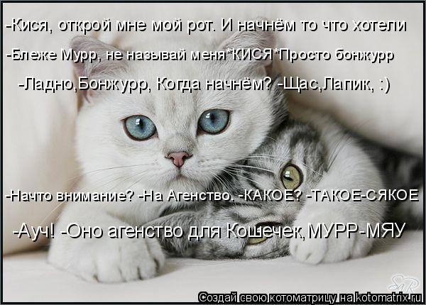 Котоматрица: -Кися, открой мне мой рот. И начнём то что хотели -Блеже Мурр, не называй меня*КИСЯ*Просто бонжурр   -Ладно,Бонжурр, Когда начнём? -Щас,Лапик, :) -