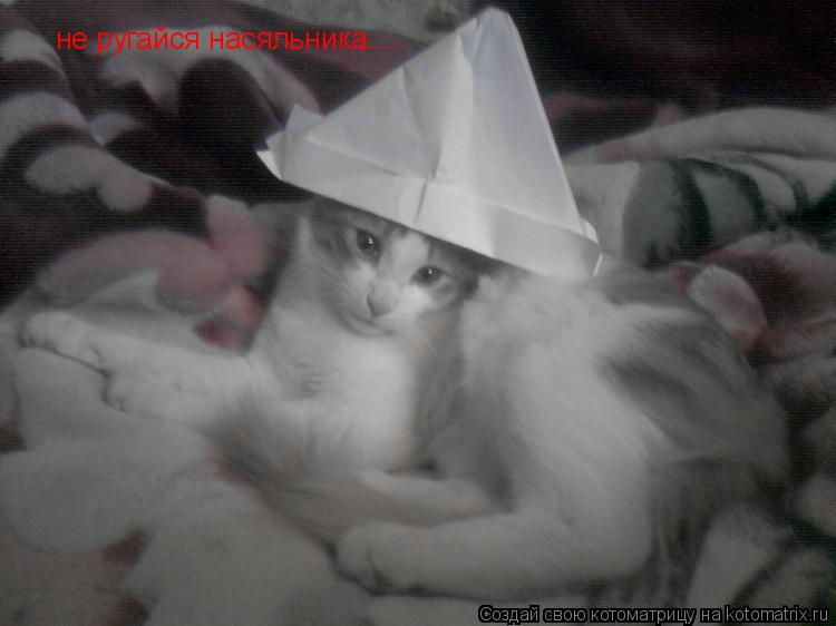 Котоматрица: не ругайся насяльника....