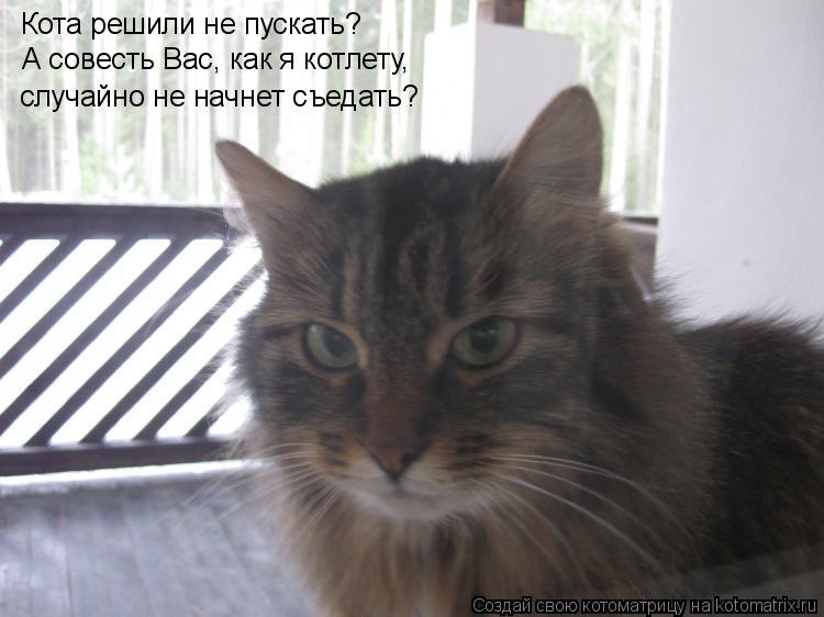 Котоматрица: Кота решили не пускать? А совесть Вас, как я котлету, cлучайно не начнет съедать?
