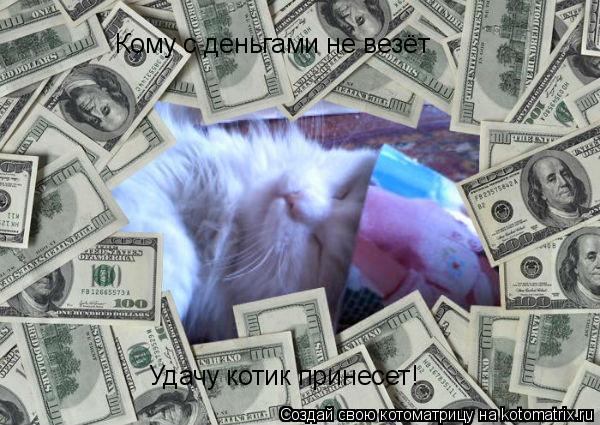 Котоматрица: Кому с деньгами не везёт Удачу котик принесет!