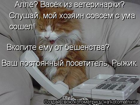 Котоматрица: Слушай, мой хозяин совсем с ума сошел!  Вколите ему от бешенства? Аллё? Васёк из ветеринарки? Ваш постоянный посетитель, Рыжик.