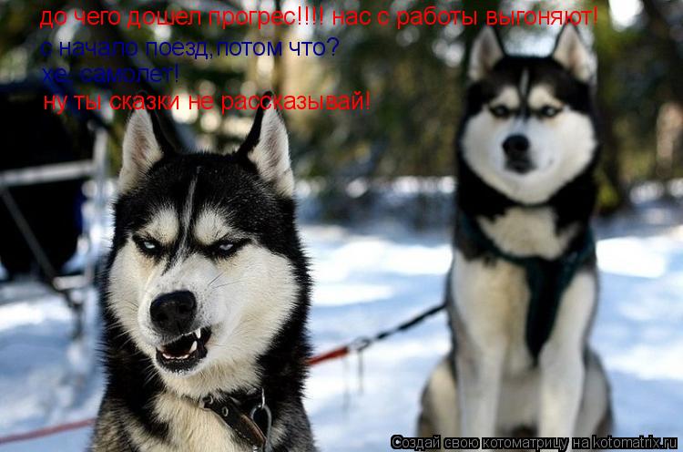Котоматрица: до чего дошел прогрес!!!! нас с работы выгоняют! с начало поезд,потом что? хе, самолет! ну ты сказки не рассказывай!