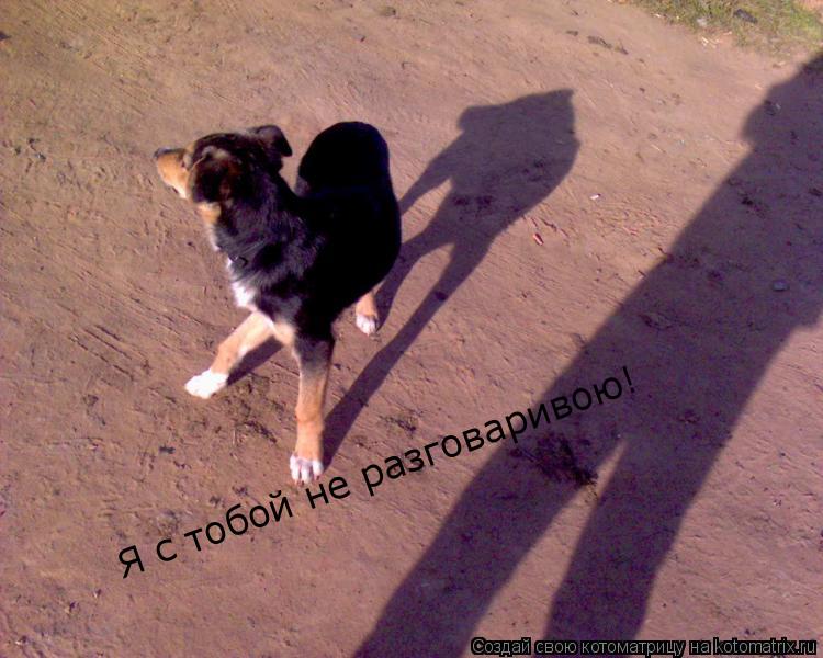 Котоматрица: Я с тобой не разговаривою!