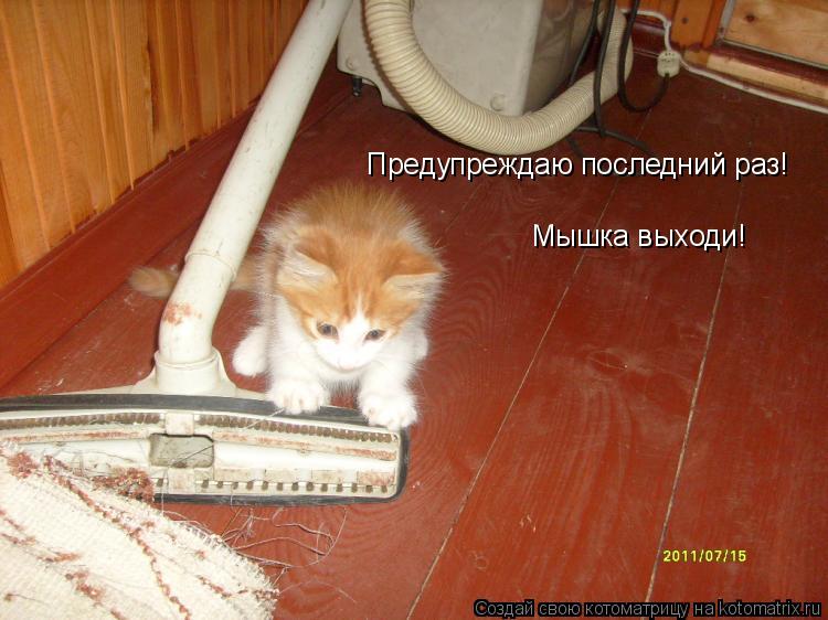 Котоматрица: Предупреждаю последний раз! Мышка выходи!