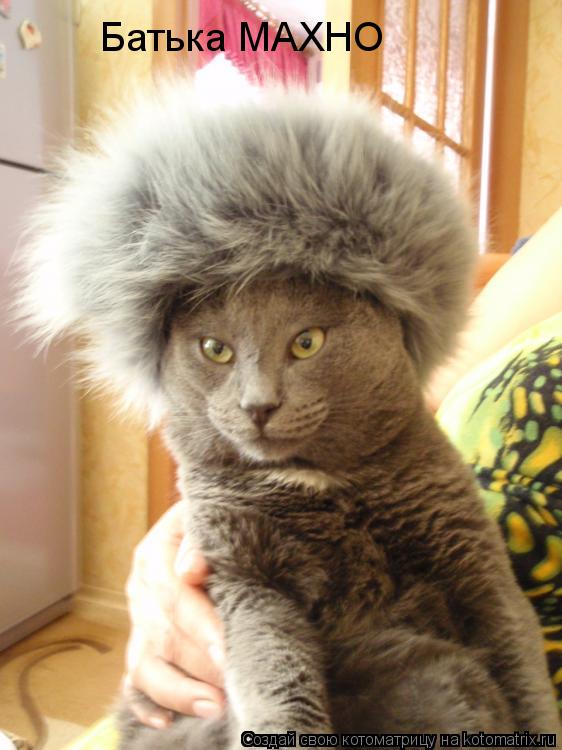 Котоматрица: Батька МАХНО