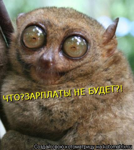 Котоматрица: ЧТО?ЗАРПЛАТЫ НЕ БУДЕТ?!