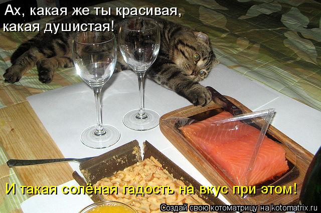 Котоматрица: Ах, какая же ты красивая, какая душистая! И такая солёная гадость на вкус при этом!