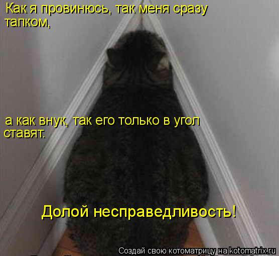 Котоматрица: а как внук, так его только в угол Как я провинюсь, так меня сразу тапком, Долой несправедливость! ставят.