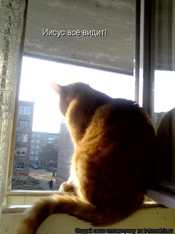 Котоматрица: Иисус всё видит!