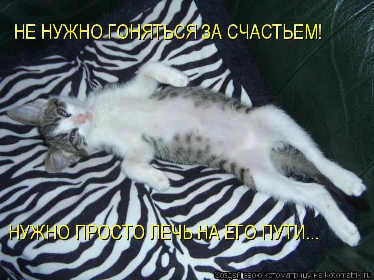 Котоматрица: НЕ НУЖНО ГОНЯТЬСЯ ЗА СЧАСТЬЕМ! НУЖНО ПРОСТО ЛЕЧЬ НА ЕГО ПУТИ...