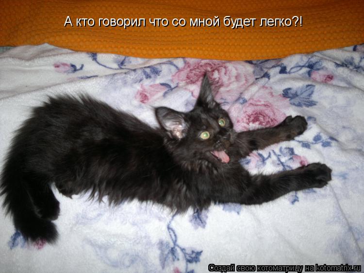 Котоматрица: А кто говорил что со мной будет легко?!