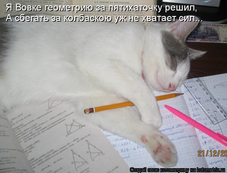 Котоматрица: Я Вовке геометрию за пятихаточку решил, А сбегать за колбаскою уж не хватает сил...